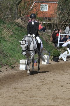 Bild 642 - WBO-Turnier am 9.4.11